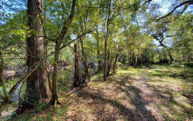 This Old Florida Rail-Trail Is Paved, Flat, And Shaded For Miles As It Rolls Through Small Towns Near Brooksville