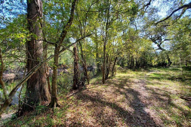 This Old Florida Rail-Trail Is Paved, Flat, And Shaded For Miles As It Rolls Through Small Towns Near Brooksville