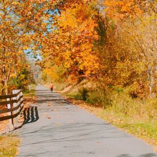 10 West Virginia Bike Trails With Gentle Grades