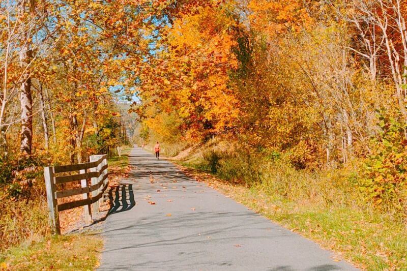 10 West Virginia Bike Trails With Gentle Grades