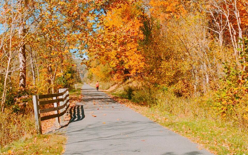 10 West Virginia Bike Trails With Gentle Grades