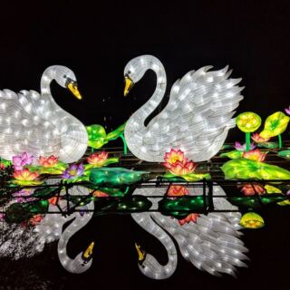 Giant Glowing Dragons Take Over 14 Lakeside Acres at This North Carolina Lantern Festival