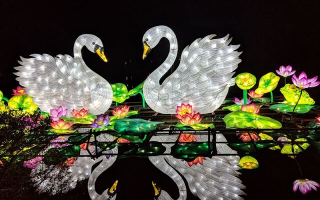 Giant Glowing Dragons Take Over 14 Lakeside Acres at This North Carolina Lantern Festival