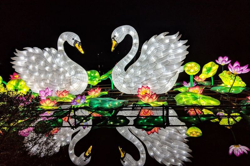 Giant Glowing Dragons Take Over 14 Lakeside Acres at This North Carolina Lantern Festival