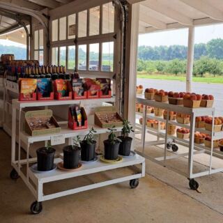 This Century-Old New Jersey Farm Market Serves Hot Apple Cider Donuts Worth The Drive