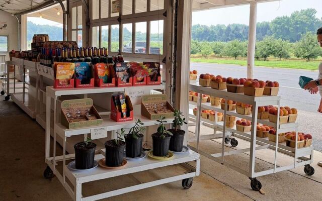 This Century-Old New Jersey Farm Market Serves Hot Apple Cider Donuts Worth The Drive