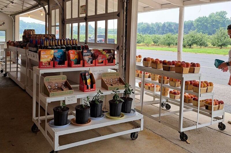 This Century-Old New Jersey Farm Market Serves Hot Apple Cider Donuts Worth The Drive