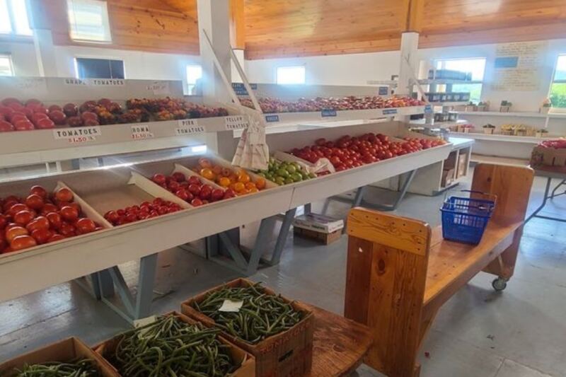 This Tennessee Amish Farm Market Has Produce So Good and Prices So Low People Drive In From Out of State
