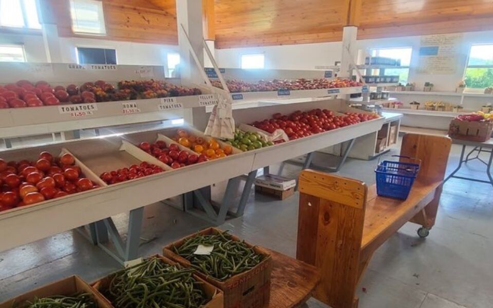 This Tennessee Amish Farm Market Has Produce So Good and Prices So Low People Drive In From Out of State