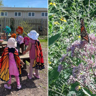 Cape May’s Monarch Butterfly Festival Turns One September Day Into Wings, Walks, And Family Nature Fun