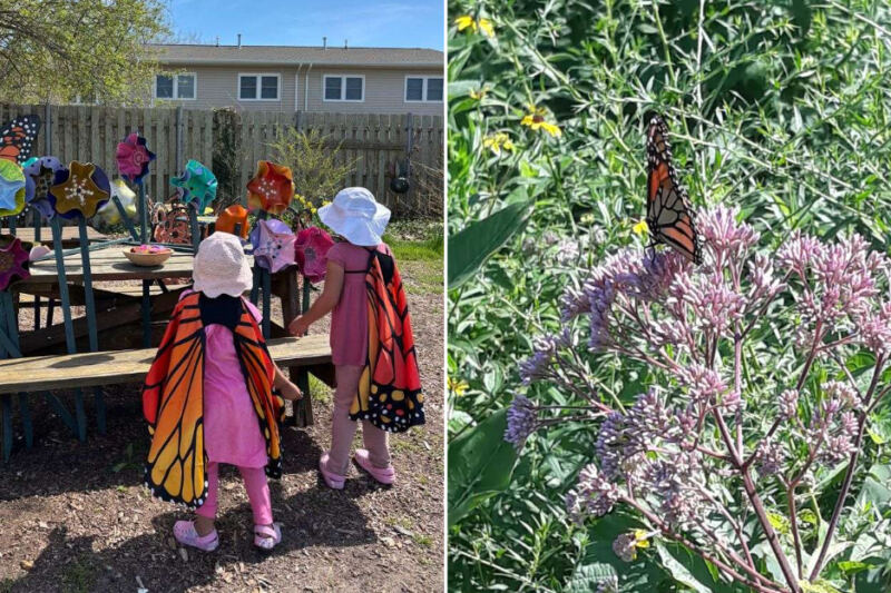 Cape May’s Monarch Butterfly Festival Turns One September Day Into Wings, Walks, And Family Nature Fun
