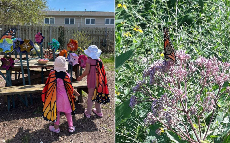 Cape May’s Monarch Butterfly Festival Turns One September Day Into Wings, Walks, And Family Nature Fun