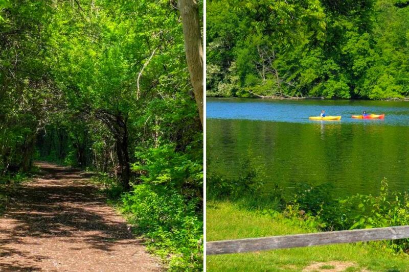 This Peaceful Ann Arbor Park Feels Miles From the City – With River Trails, Wildlife, and Quiet Views