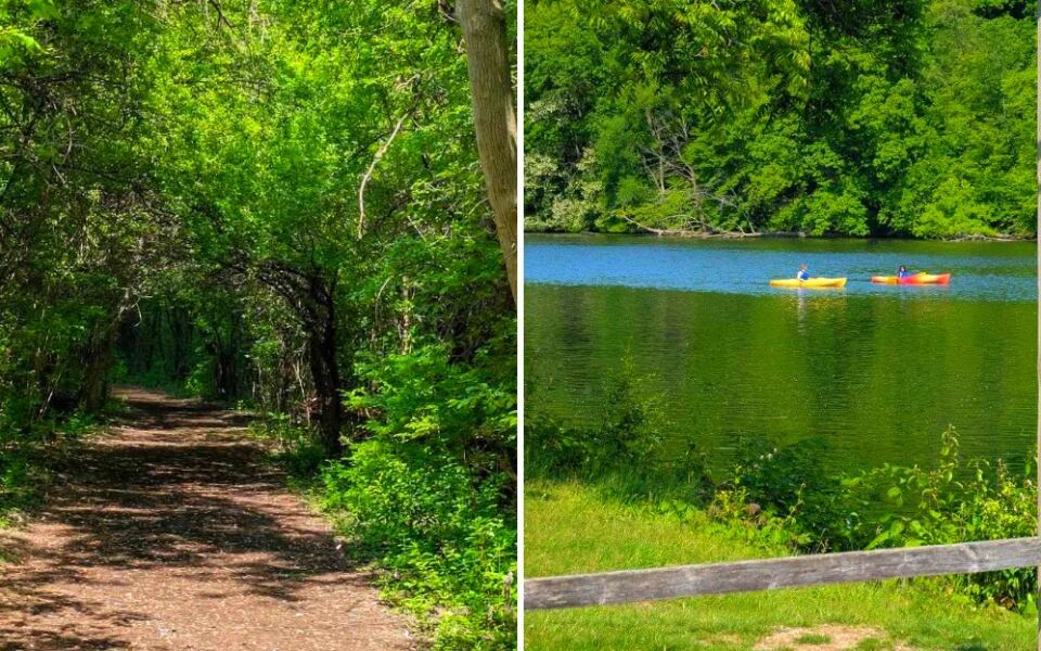 This Peaceful Ann Arbor Park Feels Miles From the City – With River Trails, Wildlife, and Quiet Views