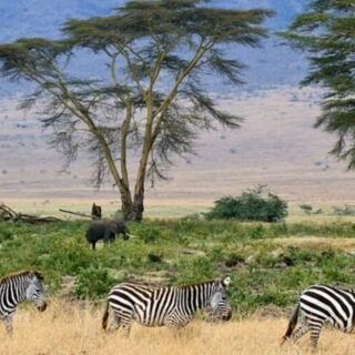 15 Fastest-Growing Travel Destinations in the World