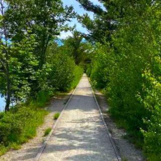 12 New Hampshire Lakeside Walks That Are Flat and Relaxing