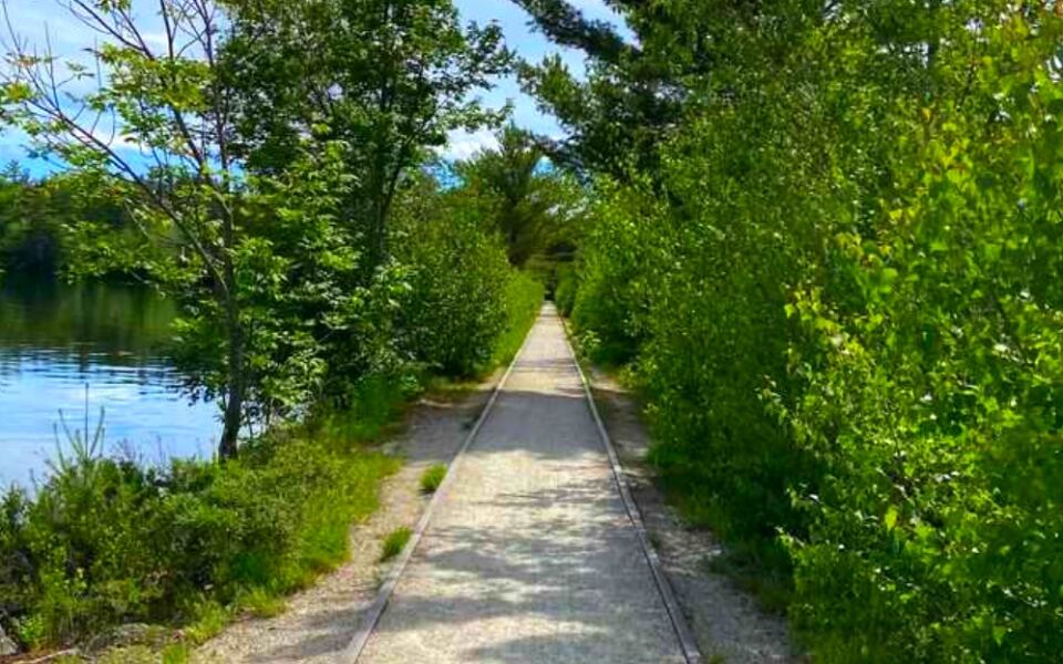 12 New Hampshire Lakeside Walks That Are Flat and Relaxing