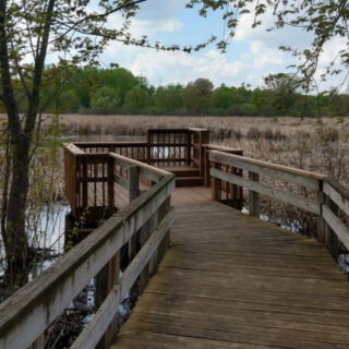 This Minnesota Nature Center Has A 900-Foot Floating Boardwalk Through The Wetlands