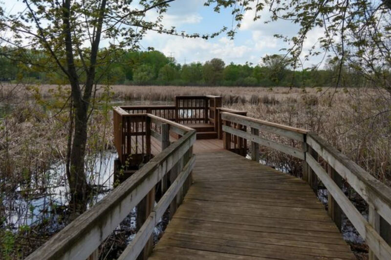 This Minnesota Nature Center Has A 900-Foot Floating Boardwalk Through The Wetlands