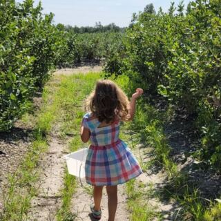 This Small New Jersey Town Is Known as the Blueberry Capital of the World