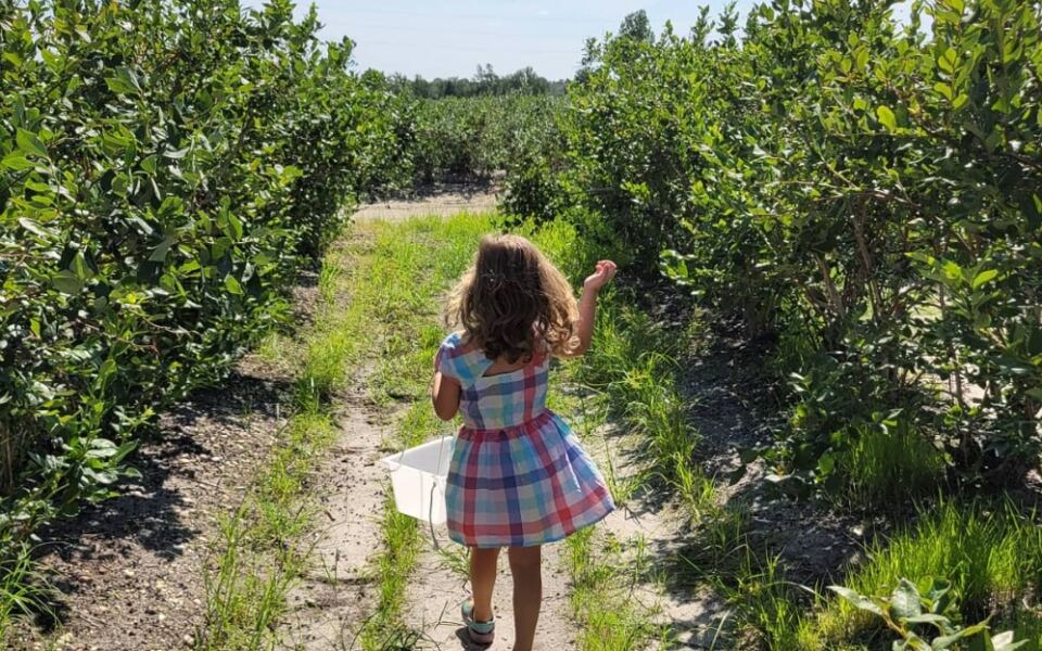 This Small New Jersey Town Is Known as the Blueberry Capital of the World