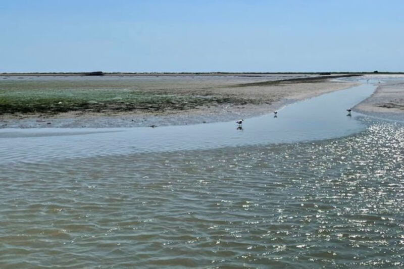 13 Places Where Huge River Deltas Create Extraordinary Landscapes