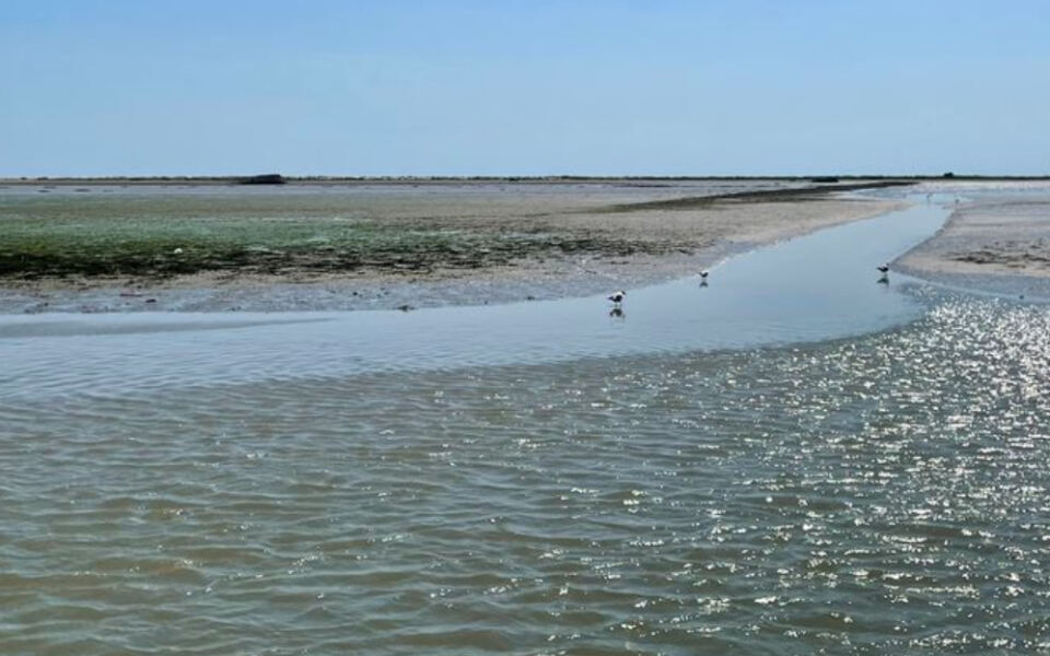 13 Places Where Huge River Deltas Create Extraordinary Landscapes