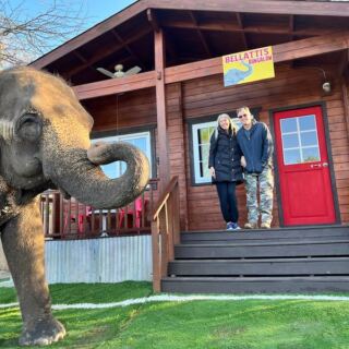 This Oklahoma Sanctuary Lets You Eat Breakfast Beside Rescued Elephants Up Close