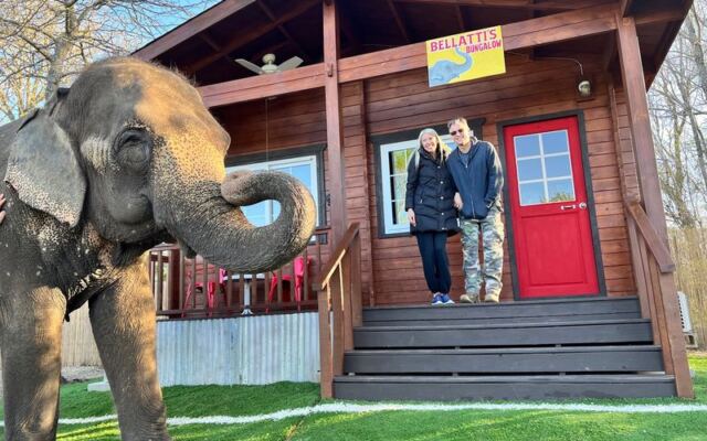 This Oklahoma Sanctuary Lets You Eat Breakfast Beside Rescued Elephants Up Close