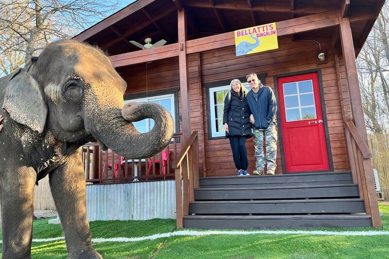 This Oklahoma Sanctuary Lets You Eat Breakfast Beside Rescued Elephants Up Close