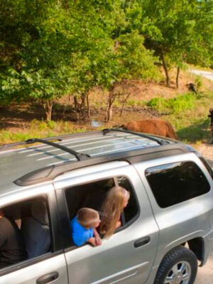 13 Nebraska Wildlife Viewing Spots With Easy Access
