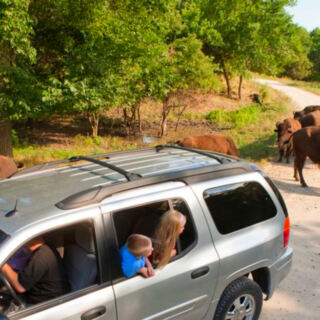 13 Nebraska Wildlife Viewing Spots With Easy Access