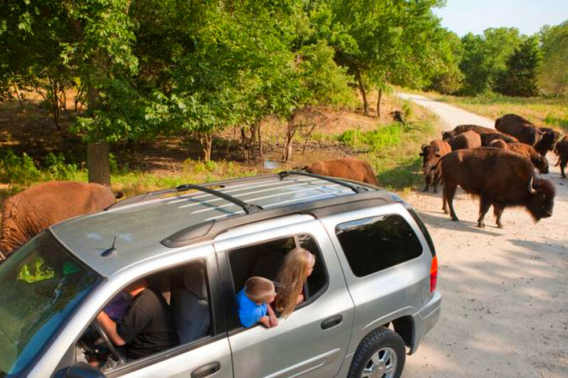 13 Nebraska Wildlife Viewing Spots With Easy Access