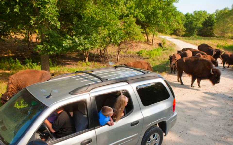13 Nebraska Wildlife Viewing Spots With Easy Access