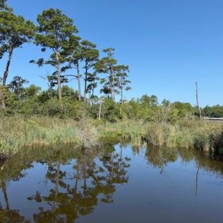 This Wild North Carolina Coastal Preserve Hides Salt-Marsh Boardwalks and Woodland Trails With No Sign of Civilization