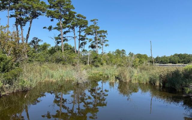 This Wild North Carolina Coastal Preserve Hides Salt-Marsh Boardwalks and Woodland Trails With No Sign of Civilization