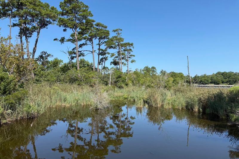 This Wild North Carolina Coastal Preserve Hides Salt-Marsh Boardwalks and Woodland Trails With No Sign of Civilization