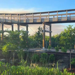 The Florida Everglades Just Added an Elevated Boardwalk That’s Completely Free to Walk