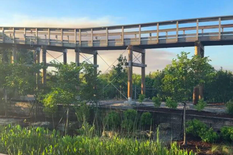 The Florida Everglades Just Added an Elevated Boardwalk That’s Completely Free to Walk