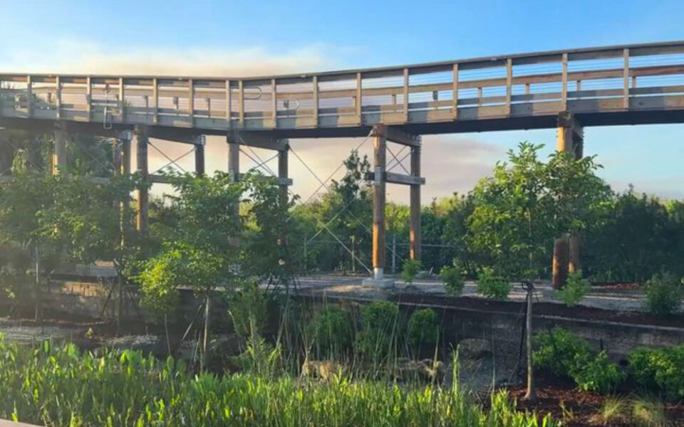The Florida Everglades Just Added an Elevated Boardwalk That’s Completely Free to Walk