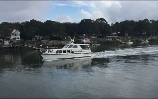 This South Carolina Ferry Trades the Airport for a 40-Minute Dolphin-Escorted Ride to a Car-Free Island