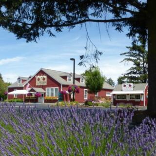 Seven Oregon Cider Houses Where You Sip Fresh-Pressed Apple Cider Straight From the Orchard
