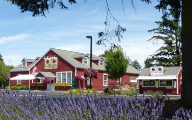 Seven Oregon Cider Houses Where You Sip Fresh-Pressed Apple Cider Straight From the Orchard