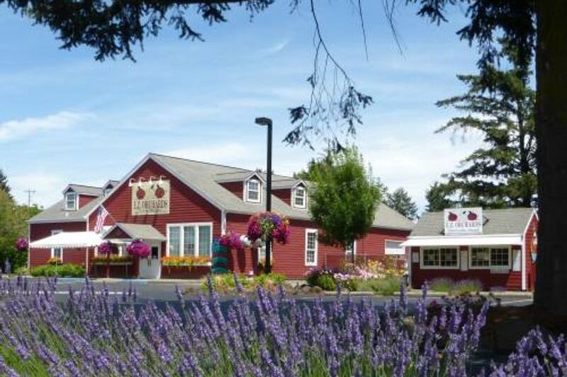 Seven Oregon Cider Houses Where You Sip Fresh-Pressed Apple Cider Straight From the Orchard