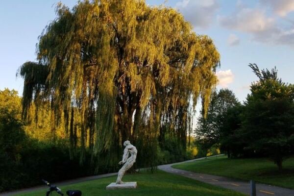 This Free Illinois Sculpture Trail Lets You Track Down 60 Artworks Along A Two-Mile Wooded Path