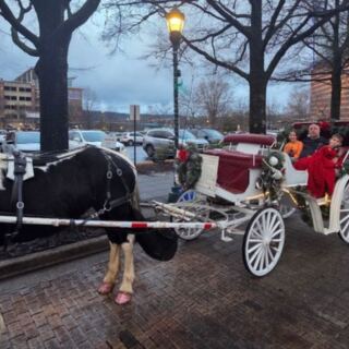 This Downtown Chattanooga Carriage Ride Takes You Clip-Clopping Past Tennessee Landmarks Close to Home