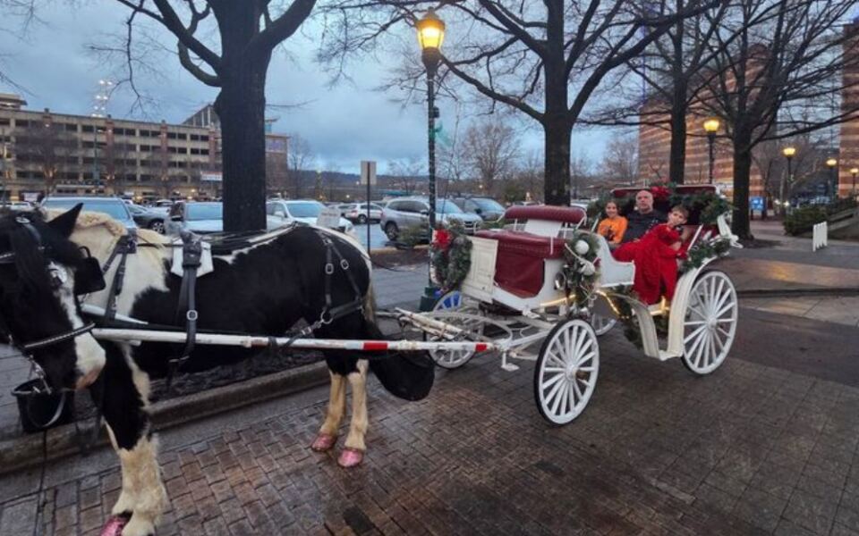 This Downtown Chattanooga Carriage Ride Takes You Clip-Clopping Past Tennessee Landmarks Close to Home