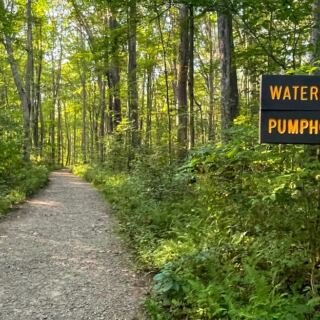12 Pennsylvania Hikes Under 3 Miles With Big Payoffs