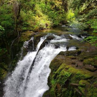 Four Waterfalls Crash Beside You on This Short Oregon Loop That Takes Under an Hour