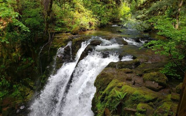 Four Waterfalls Crash Beside You on This Short Oregon Loop That Takes Under an Hour
